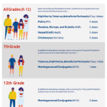 Immunization flyer kindergarten